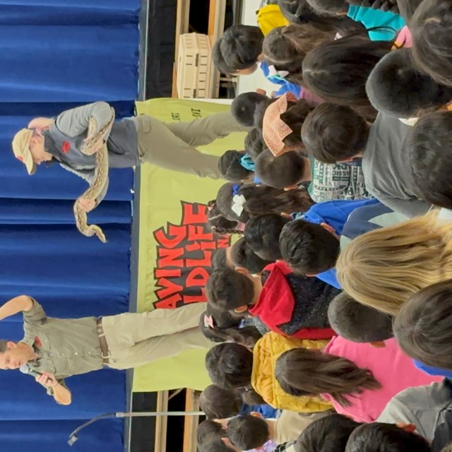 Saving Wildlife Assembly